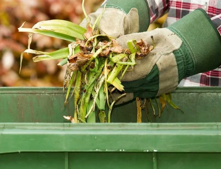 garden junk removal