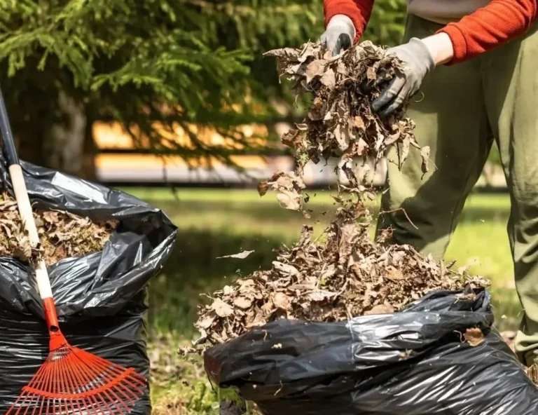 garden junk remove